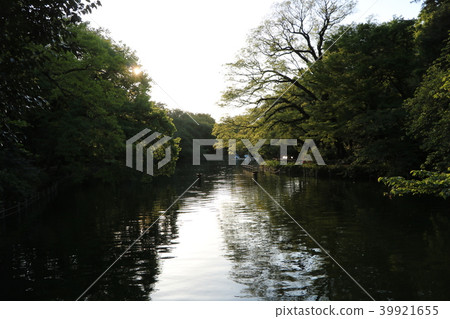 A lake A lake 39921655
