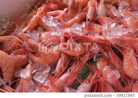 Sweet shrimp 39921993