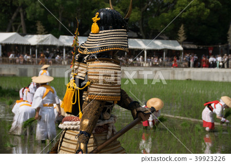 年輕的武士 年輕的武士 39923226