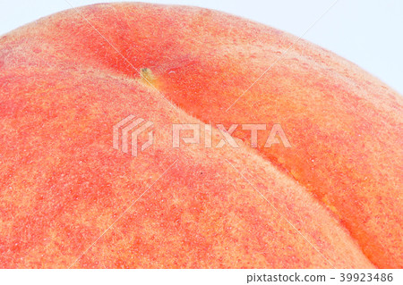 桃子(深度組成) 桃子(深度組成) 39923486
