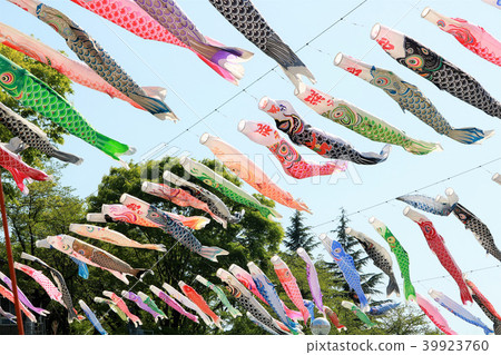 新鮮的青綠的天空Koinobori 39923760