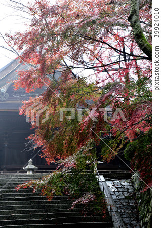 園城寺 39924010