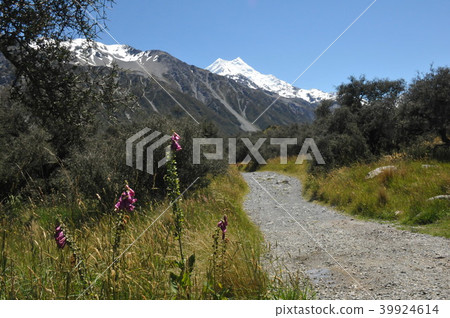塔斯曼谷,庫克山,庫克山村 塔斯曼谷,庫克山,庫克山村 39924614