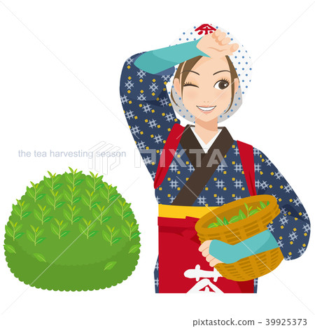 Onanoko誰努力工作茶採摘女兒 Onanoko誰努力工作茶採摘女兒 39925373