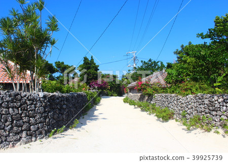 竹富島的原始風景 竹富島的原始風景 39925739