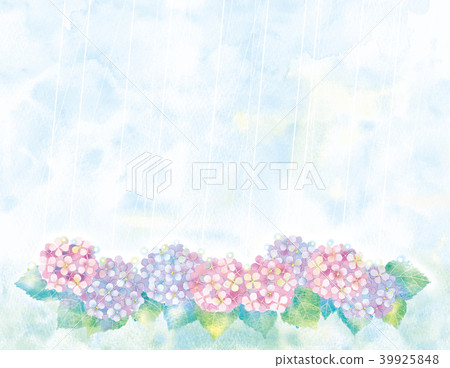 繡球花圖 繡球花圖 39925848