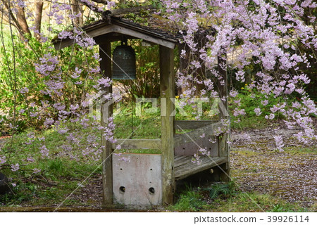 櫻花和半鈴 39926114