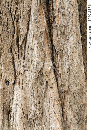 Bark of a tree. 39928476