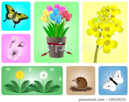 Spring flowers and butterflies - Stock Illustration [39929030] - PIXTA