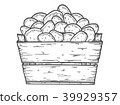 Potato vector illustration. 39929357