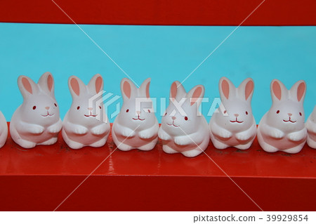 rabbit 39929854
