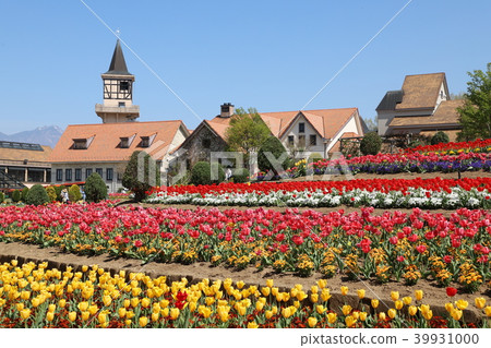 Tulip Heidi村 39931000