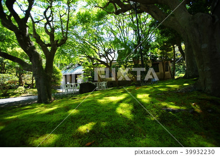 鎌倉前Kakamiya House Mansion 39932230