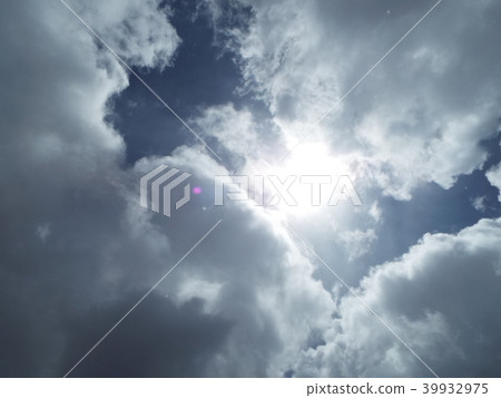 陽光 39932975