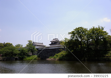 春天舞鶴公園 39933225