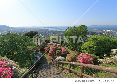 Tateyama-Shiroyama公園的風景 39935072