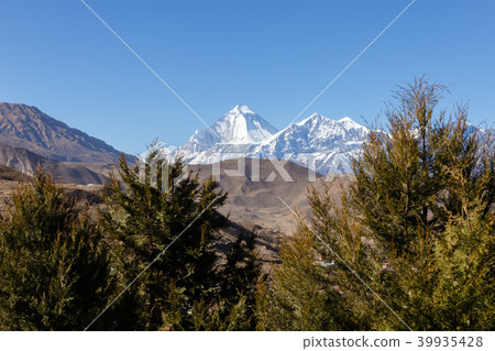 Mount Dhaulagiri and Tukuche Peak. Nepal 39935428