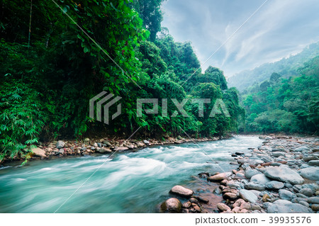 Mysterious wild nature of North Sumatra, Indonesia 39935576