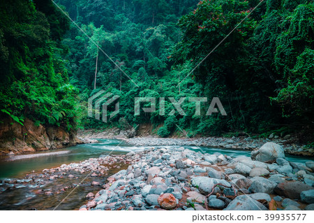 Mysterious wild nature of North Sumatra, Indonesia 39935577