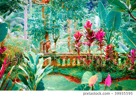 Surreal colors of fantasy tropical garden Surreal colors of fantasy tropical garden 39935595