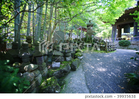 Hokoku-ji Temple Olympic Tower Group Hokoku-ji Temple Olympic Tower Group 39935638