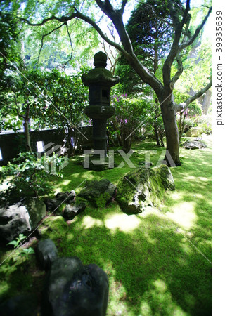 Hakokunji Garden Hakokunji Garden 39935639
