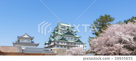 Nagoya Castle spring panorama 39935655