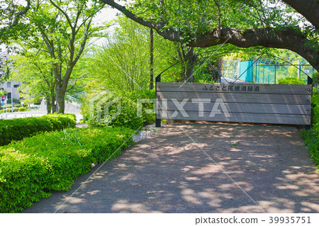 Scenery of Furusato ridge way green road Asahi-ku, Yokohama-shi 39935751