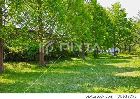 Furusato嶺道路綠色道路朝日區，橫濱市的風景 39935753