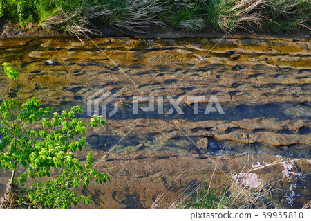 Yuzu River with a view of the riverbed Yuzu River with a view of the riverbed 39935810