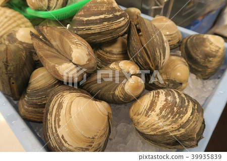 蛤蜊 39935839