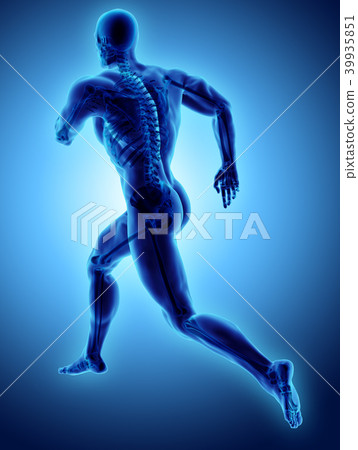 3d illustration male running x-ray skeleton. 3d illustration male running x-ray skeleton. 39935851
