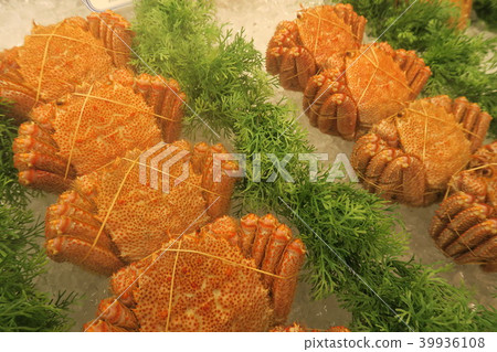 Hair to Hair to 39936108