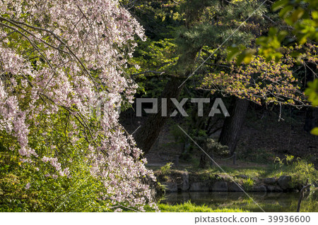 Aichi Prefecture Owaraki Asahi City Forest Park Aichi Prefecture Owaraki Asahi City Forest Park 39936600