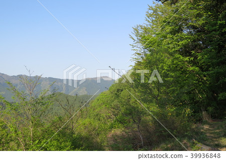 K原村·淺淺聰12 K原村·淺淺聰12 39936848