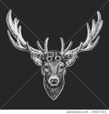 Deer Hand drawn illustration for tattoo, emblem, badge, logo, patch, t-shirt Cool animal wearing 39937141