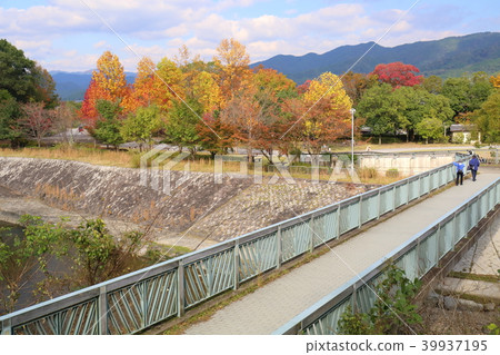 Kyoto Fall treasure park park Kyoto Fall treasure park park 39937195