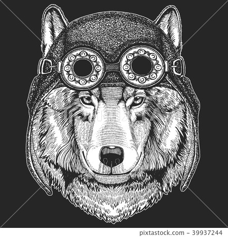 Cool animal wearing aviator, motorcycle, biker helmet. Wolf Dog Hand drawn image for tattoo, emblem 39937244