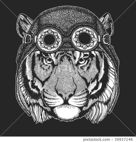 Wild tiger Hand drawn image for tattoo, emblem, badge, logo, patch, t-shirt Cool animal wearing 39937246