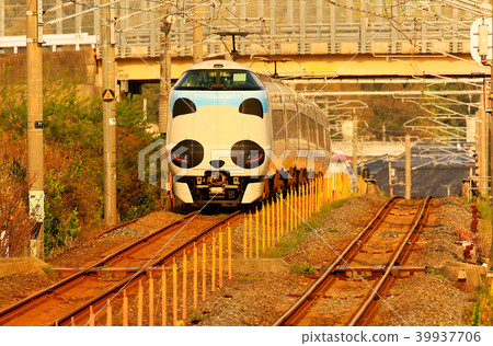 Panda Kuroshio No. JR 287 Panda face Express Train Kuroshio 77 Panda Kuroshio No. JR 287 Panda face Express Train Kuroshio 77 39937706