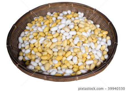 Yellow and white cocoons in basket isolated Yellow and white cocoons in basket isolated 39940330