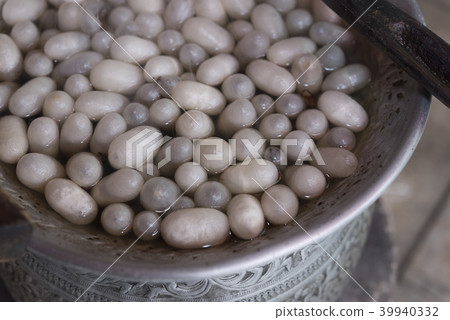 Boiling silkworm cocoon in the pot with hot water Boiling silkworm cocoon in the pot with hot water 39940332