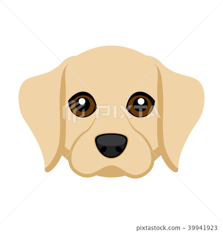 Cute labrador retriever dog avatar 39941923