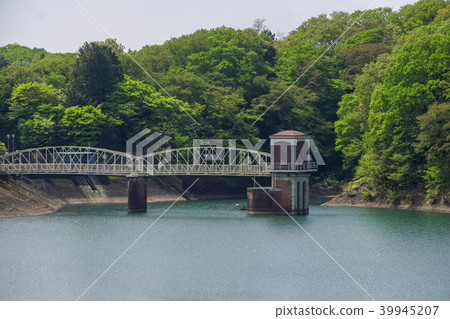 新鮮的綠色Sayama多山多摩湖入口塔 新鮮的綠色Sayama多山多摩湖入口塔 39945207