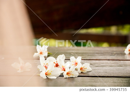 Ayuhana Kaki-Chotensu-ji寺，提供omon，輕便的旅行，風景 39945735