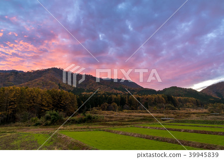 Beautiful Sunset 39945839