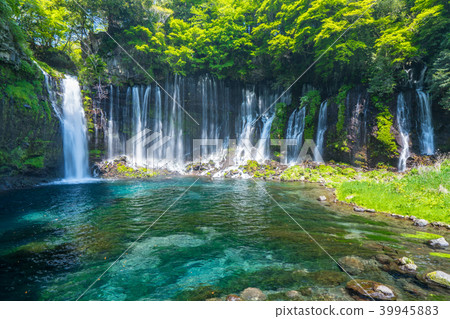 “靜岡縣”Shiraito Falls / Clear Current “靜岡縣”Shiraito Falls / Clear Current 39945883