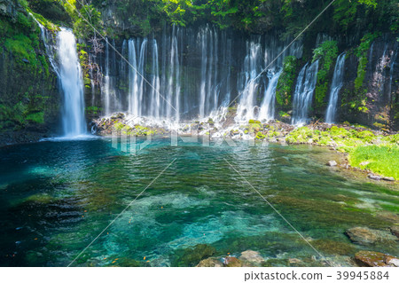 “靜岡縣”Shiraito Falls / Clear Current 39945884