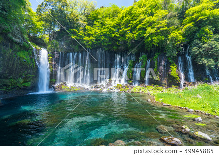 "Shizuoka Prefecture" Shiraito Falls / Clear Current "Shizuoka Prefecture" Shiraito Falls / Clear Current 39945885