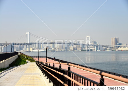 Toyosu Gugururi公園 39945982
